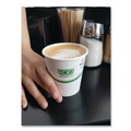  | Eco-Products EP-BHC12-GS GreenStripe 12 oz. Renewable & Compostable Hot Cups (50/Pack ,20 Packs/Carton) image number 1